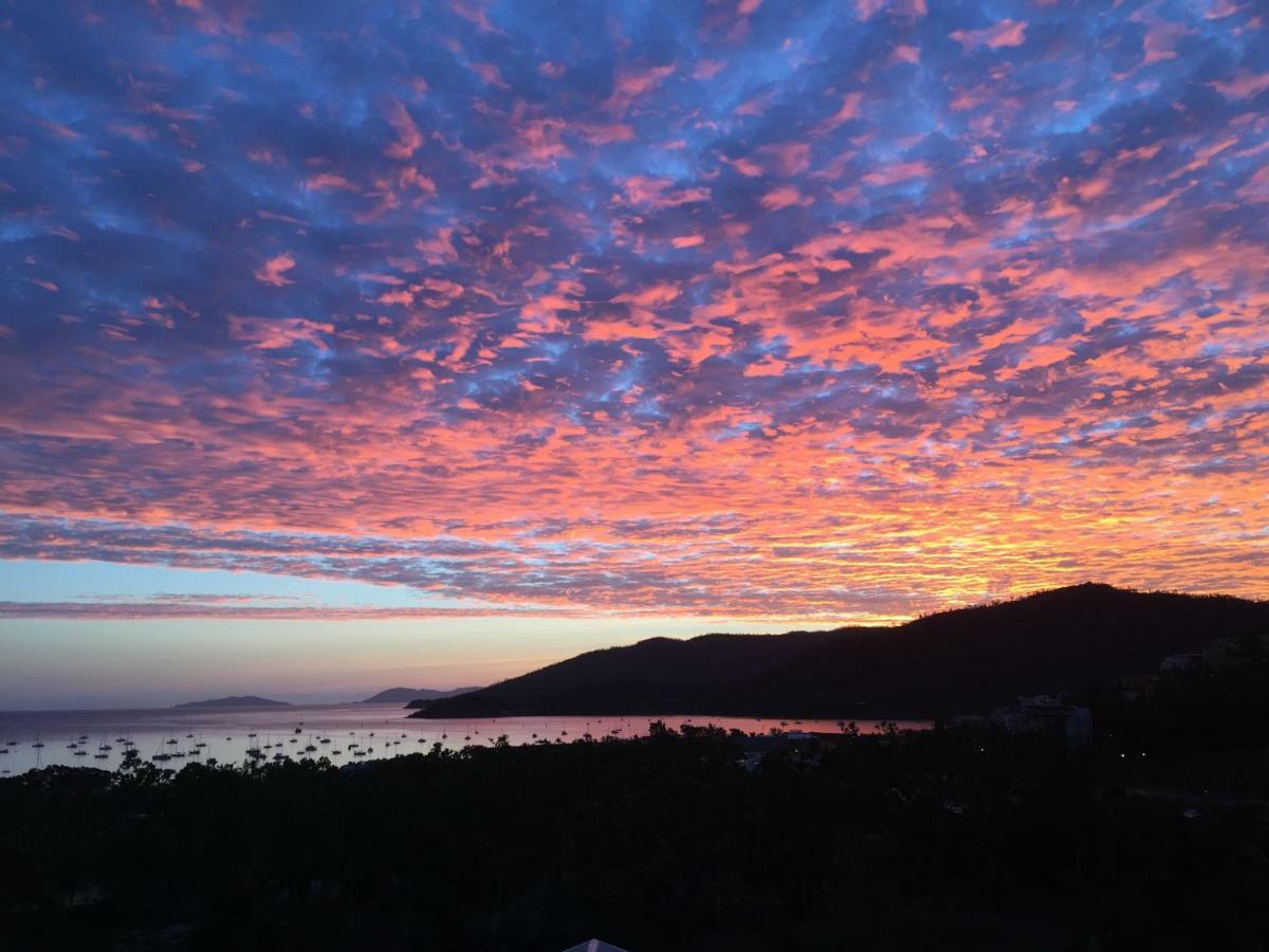 Island Views Bed and Breakfast Airlie Beach Εξωτερικό φωτογραφία
